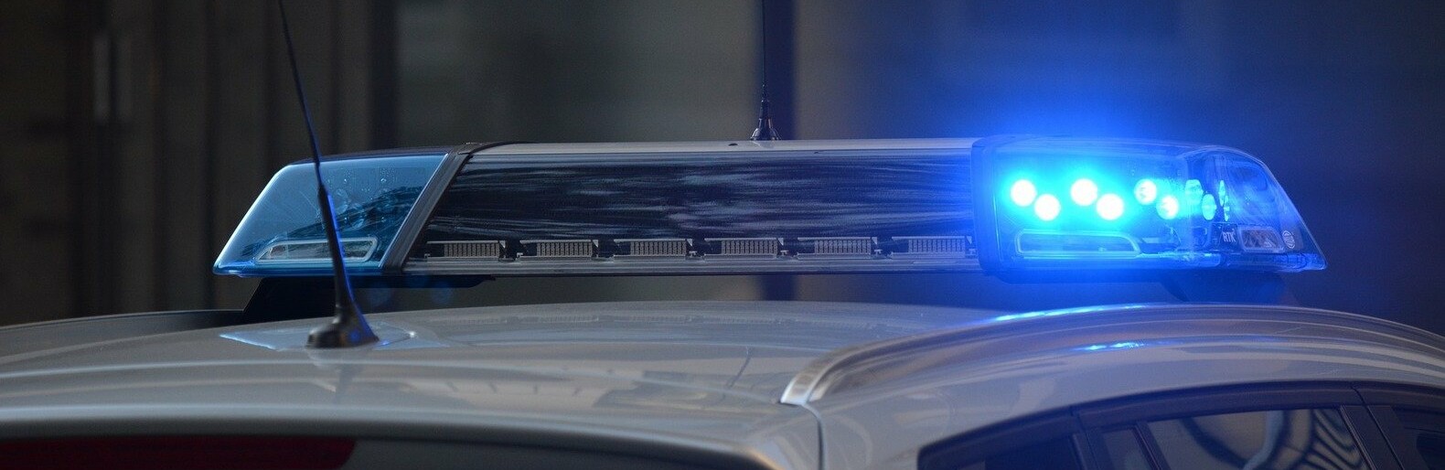  ����� ������� ����� ����� ������ ������������ 