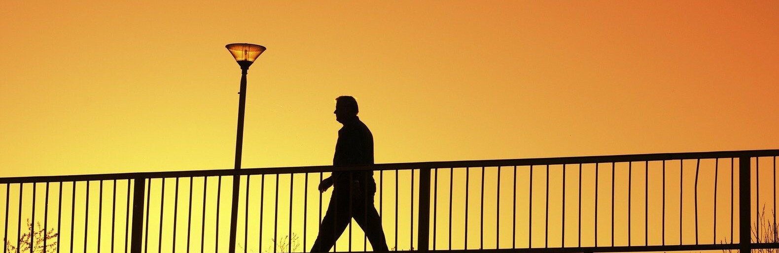  ����� ����� ������ ���� ������ 20-������� �������� 