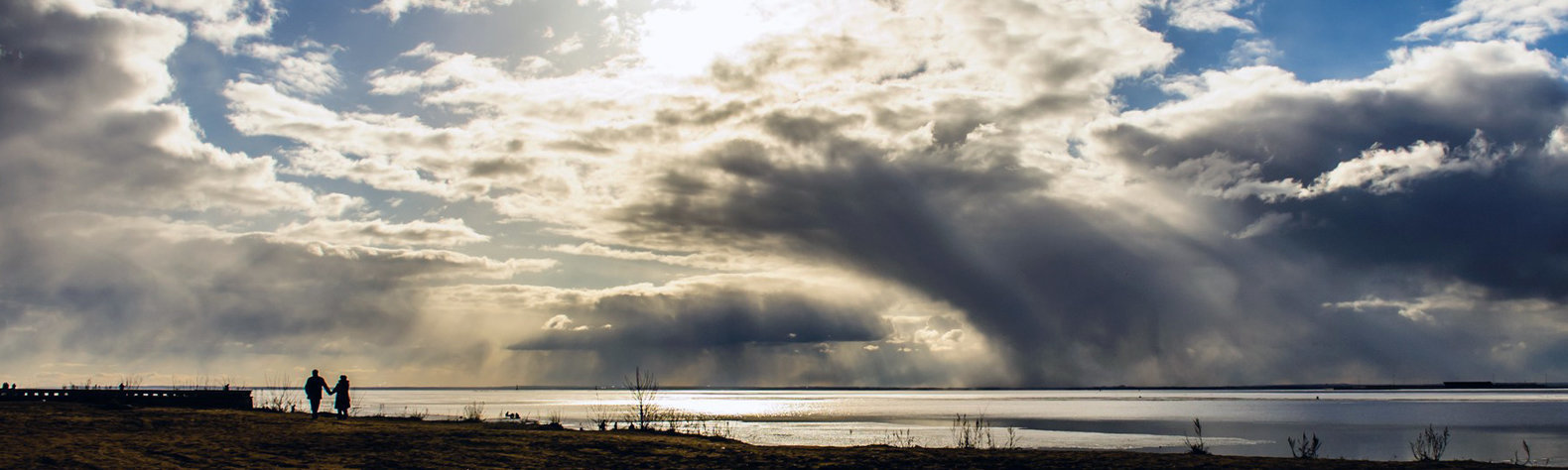  ������ ����� ������� ���� 