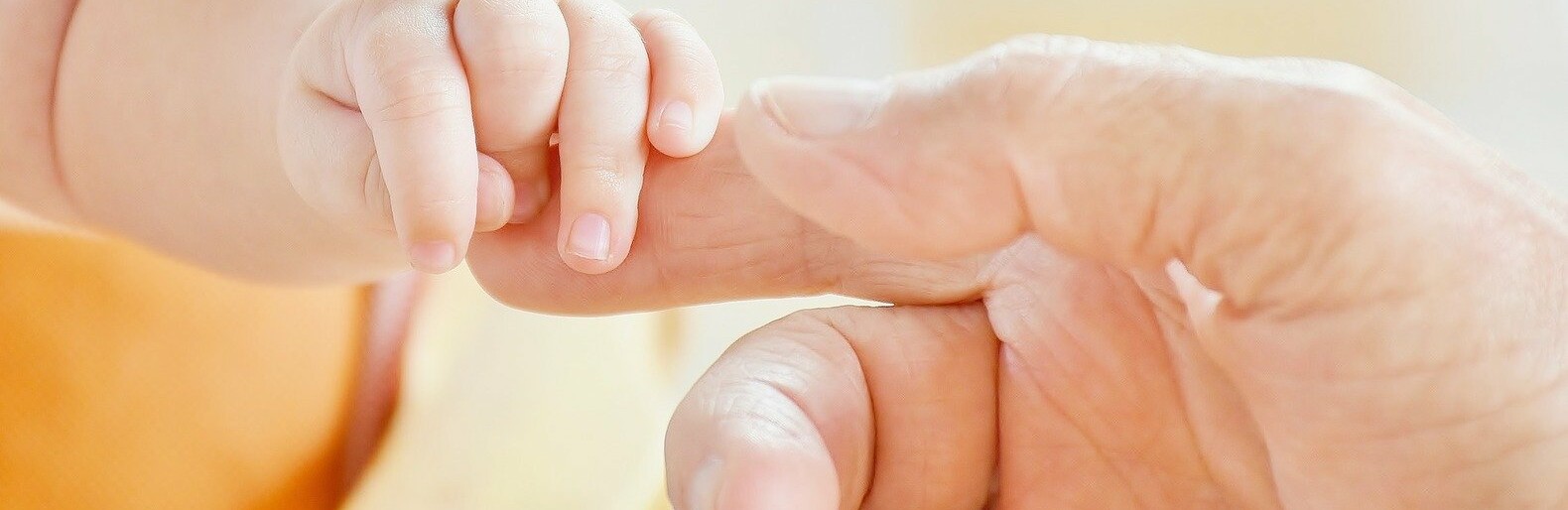  ����� ������� ������� �������� ���������� ������� 