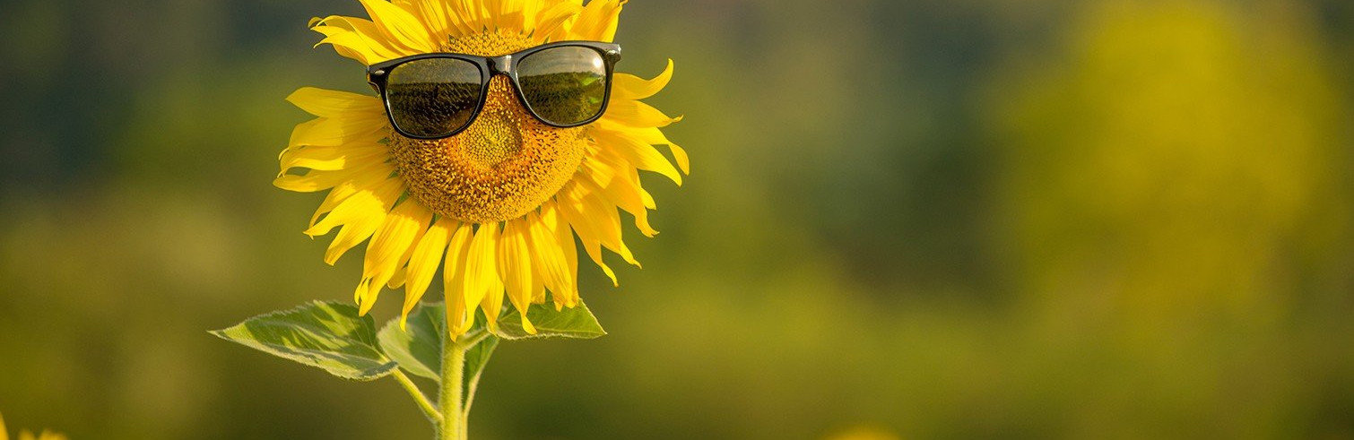  ������ ����� ������� ���� 