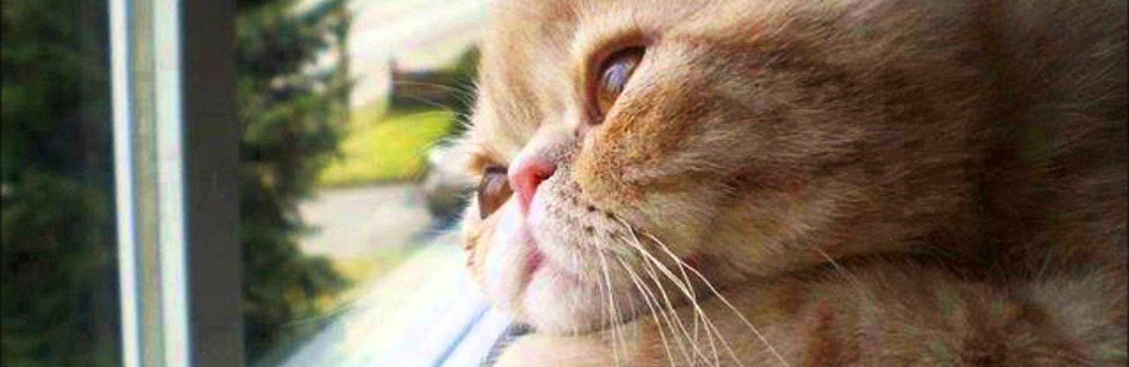  ������ ����� �������� ������� 1-2 ������� 