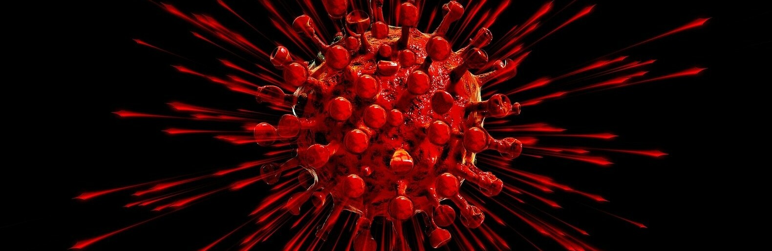  ����������� ����� 227 ������� covid-19 �������� ������ 