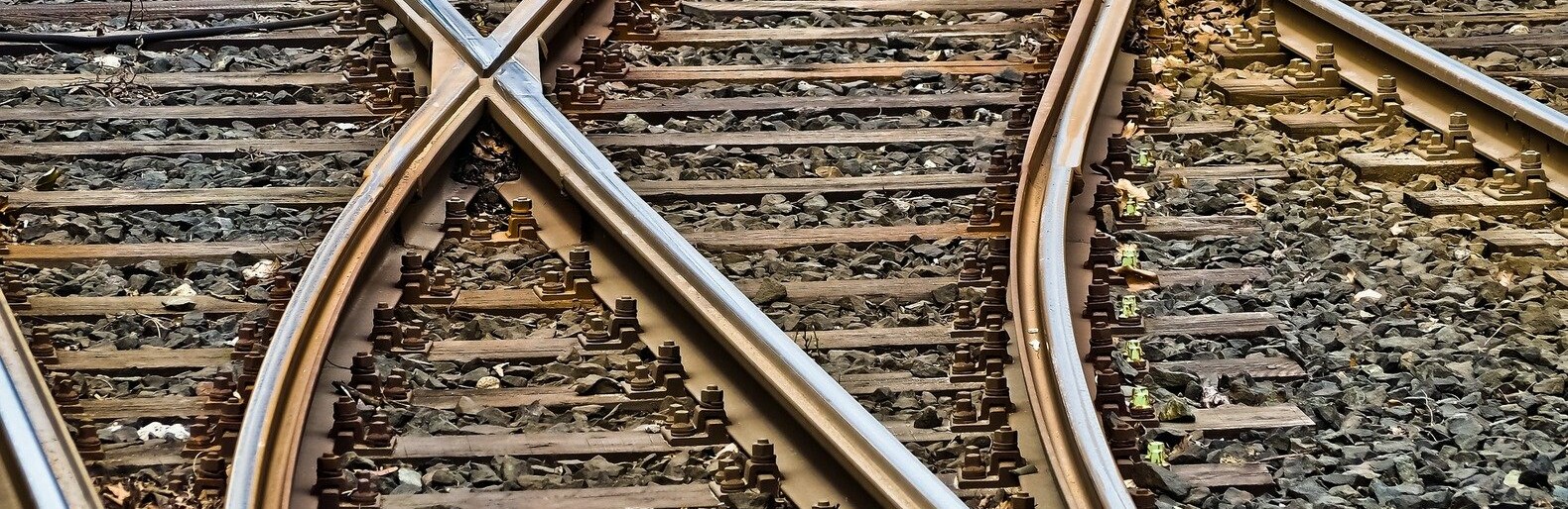  ����� ������� �������� ��������� �������� �������� �������� 