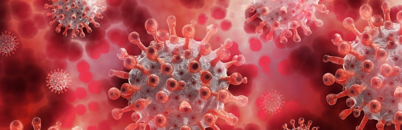  ����������� ����� ���������� �������������� ������� ����� 