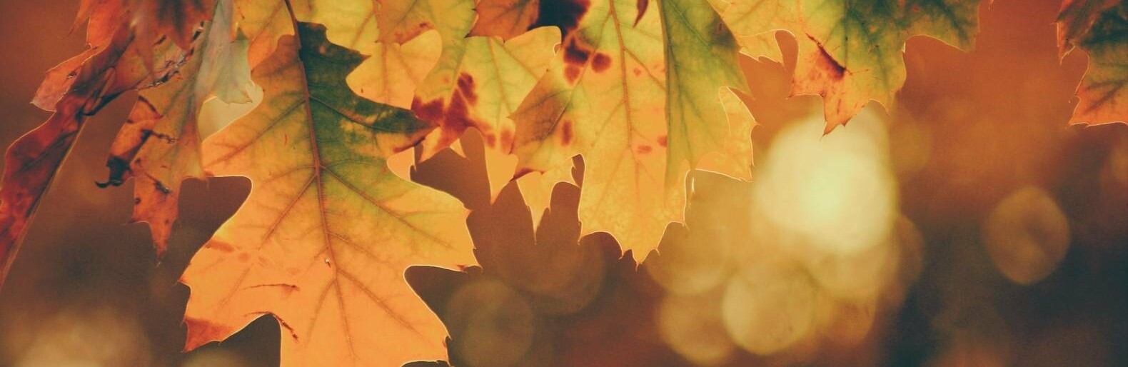  ������ ����� ������� ��������� ������� ������ 