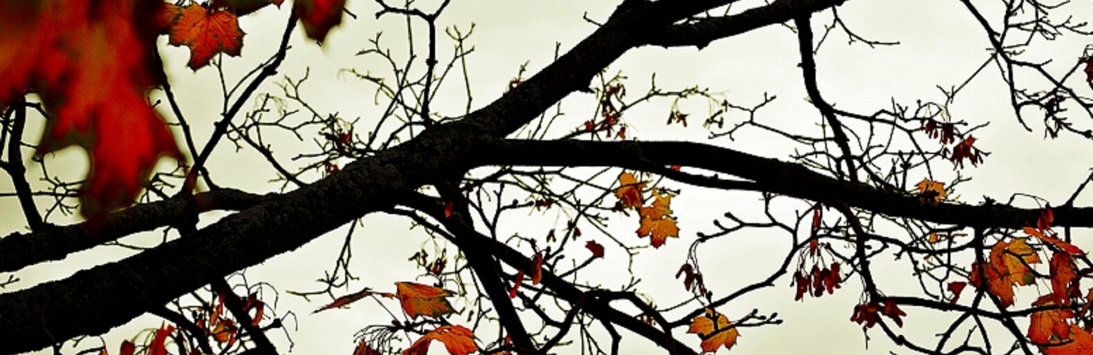  ������ ����� ������� ������ 