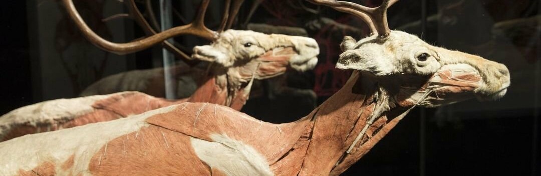  ������������������ �������� ����� ������� ������� ���������� �������� ���� 