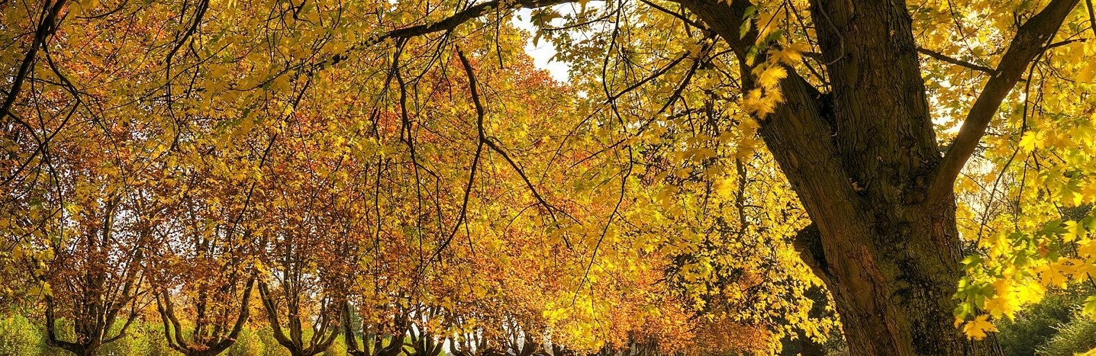  ������ ����� ������ ������� 9-15 ������ 