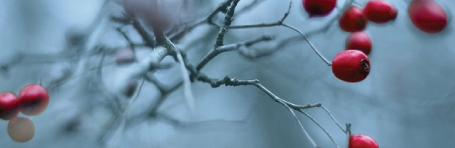  ������ ����� ������ ������� 16-22 ������ 