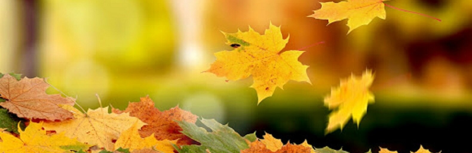  ������ ����� ������ 