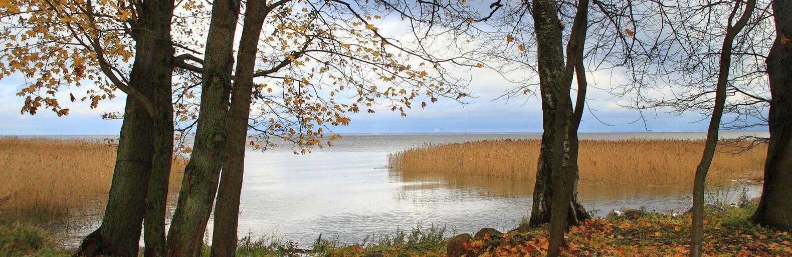  ������ ����� ������ 