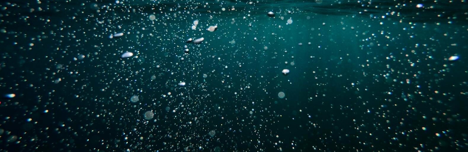  ������������ ������ ����� ����� ���� ����������� ������� 