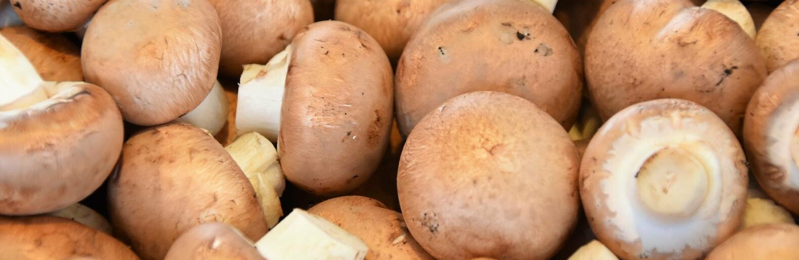  ����� ������ ���������� ��������� ������� ������� ���������� 