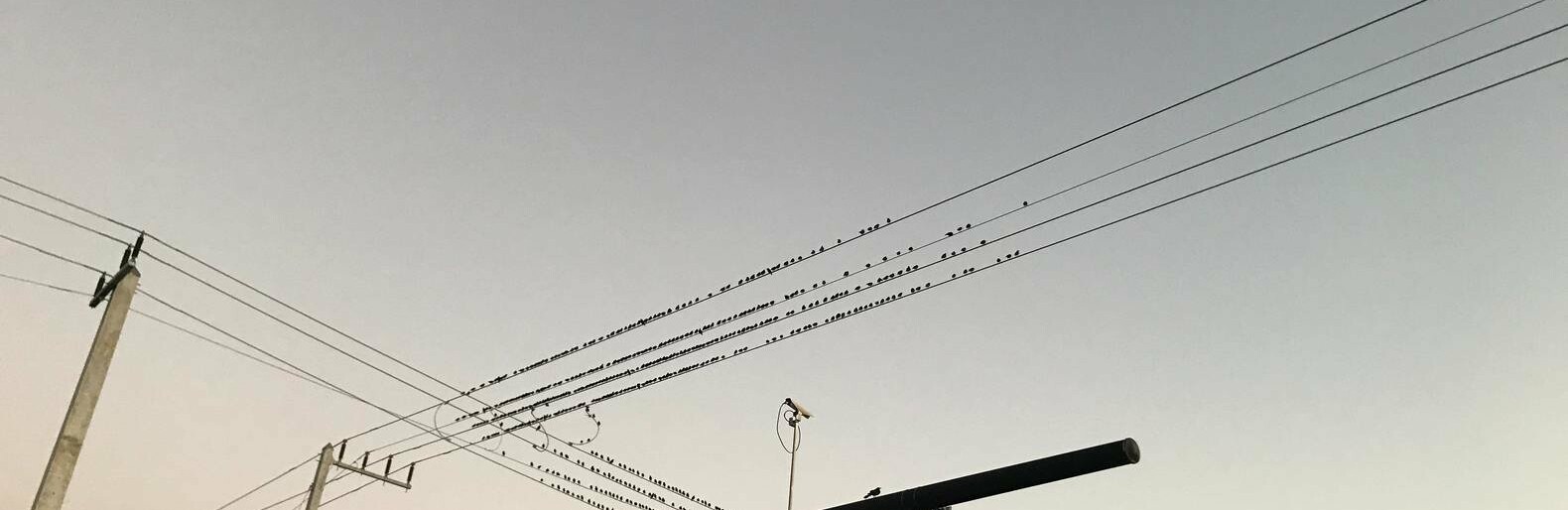  ����� �������� �������� ������ ���� �������� 