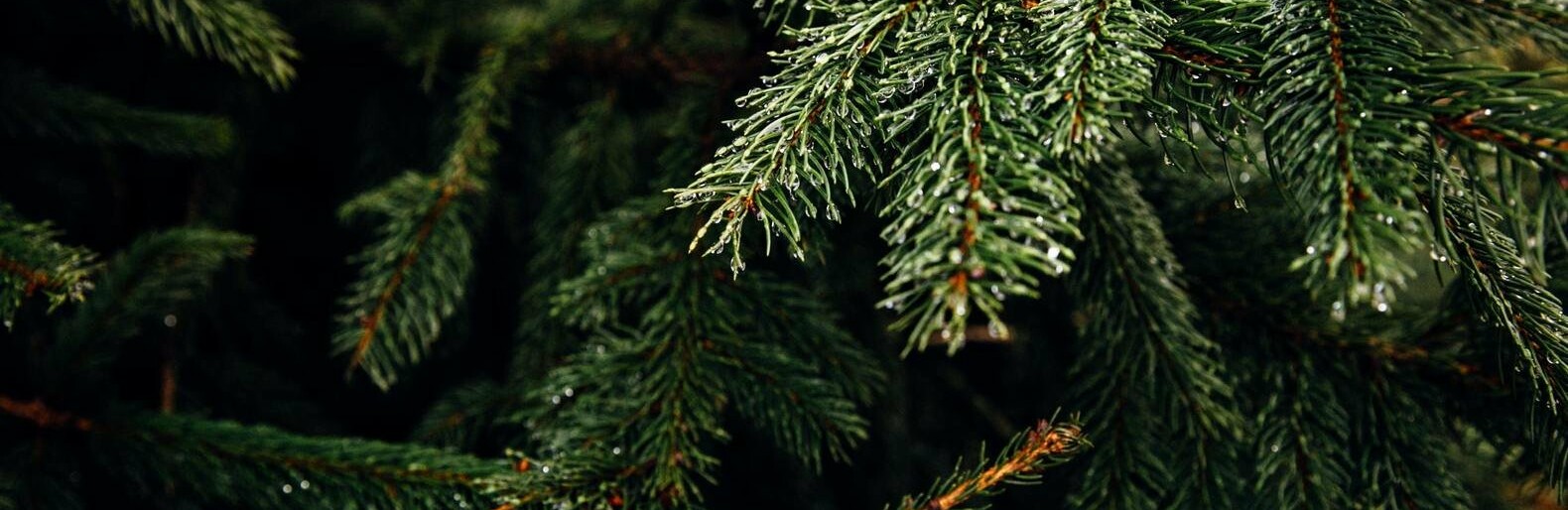  ����� �������� ������� ���� ����� ���������� ������ ������ 