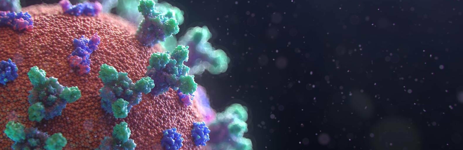  ����������� ����� ��������� ���������� covid-19 ������� ������� 