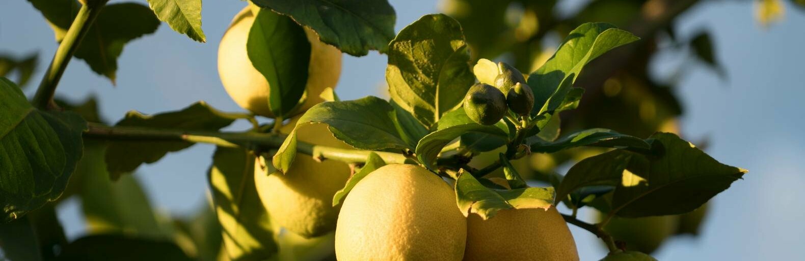  ������� ������ ���� ����� ������� ���������� ������� ���� 