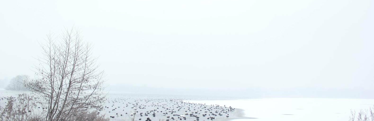  �������� ������� ������� ����� ������� ���������� ��� ����� 