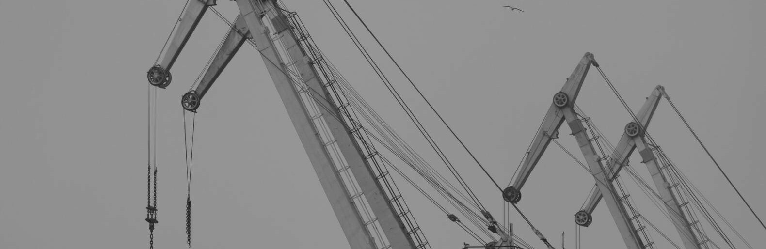  ����������� ������ ����� ��������� ��������� ������ ���������� ��� 