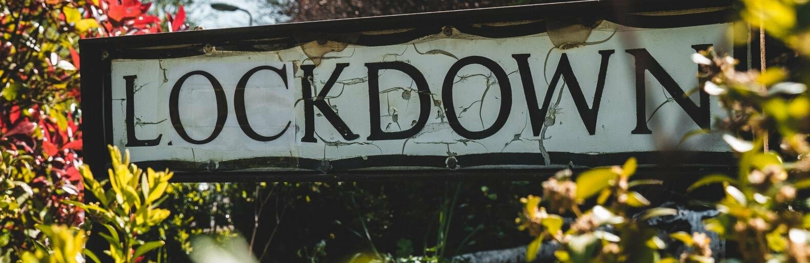  ����������� ����� ��������� ���������� covid-19 ������� ������� 