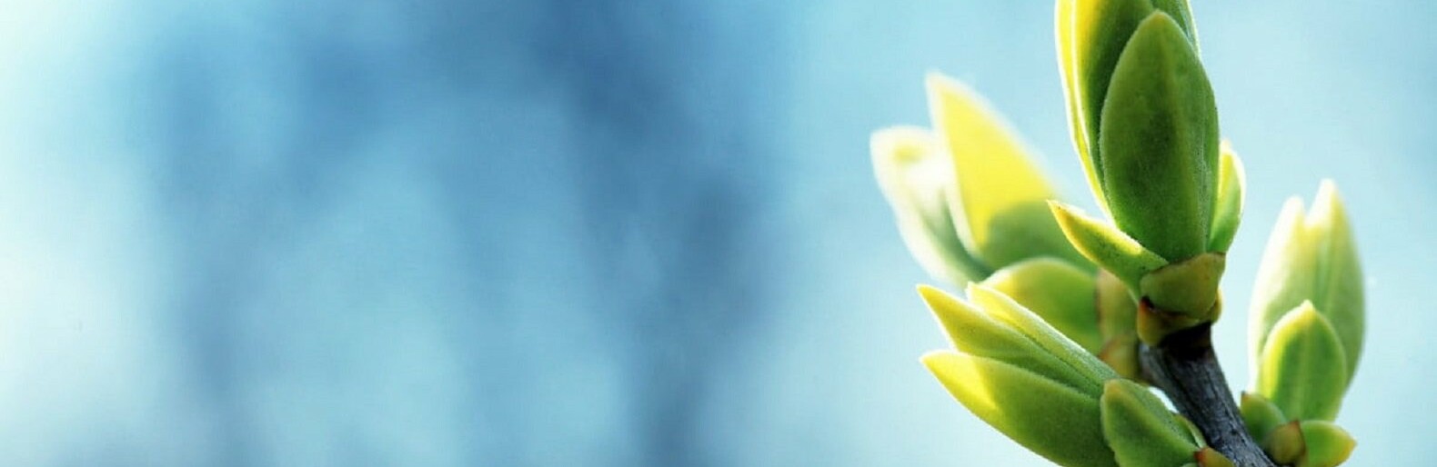  ������ ����� ������� ��������� 