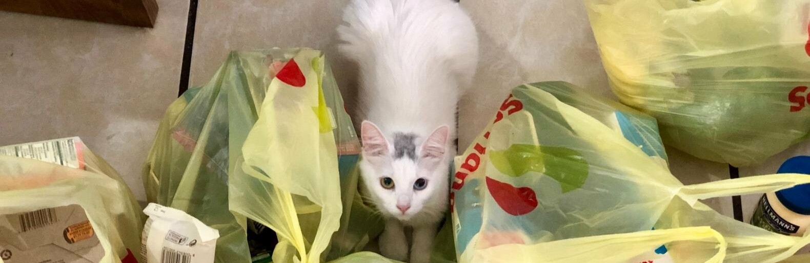  ��������� ���� ���������� ������������� ����������� ������� ������� 