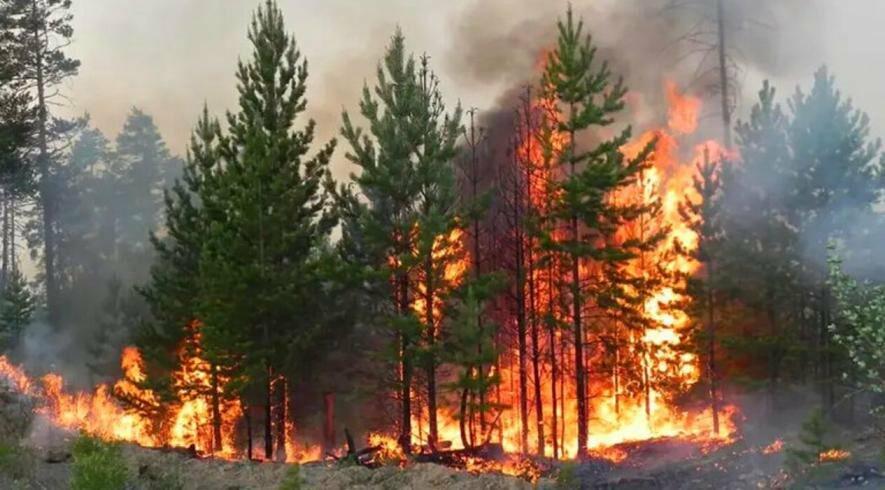Загроза спалахів вогню і пожеж: у Києві й на Київщині оголошено підвищений рівень небезпеки, – деталі Загроза спалахів вогню і пожеж: у Києві й на Київщині оголошено підвищений рівень небезпеки, – деталі