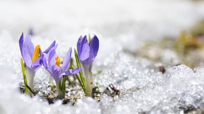 У Києві вдарять заморозки до -5°C: тиждень буде холодним, з вітром і снігом У Києві вдарять заморозки до -5°C: тиждень буде холодним, з вітром і снігом