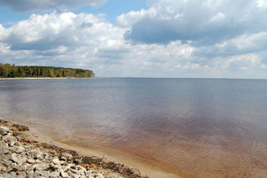 Небезпечний відпочинок біля води: поблизу Київського водосховища перебував вибуховий об’єкт, – ФОТО Небезпечний відпочинок біля води: поблизу Київського водосховища перебував вибуховий об’єкт, – ФОТО