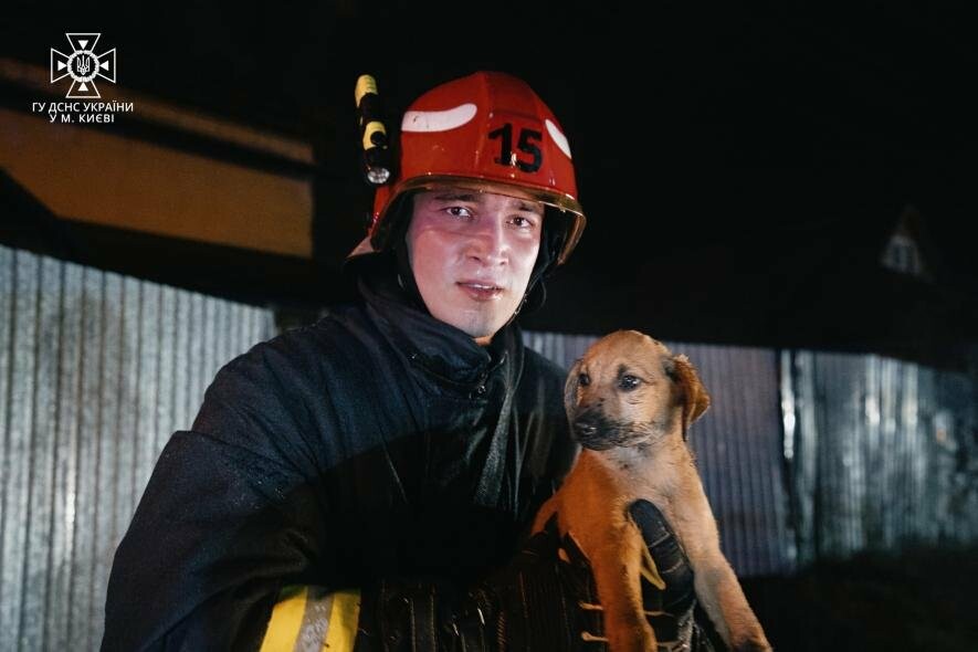 Під час пожежі в Києві вогнеборці врятували кошеня і цуценя, – ФОТО, ВІДЕО