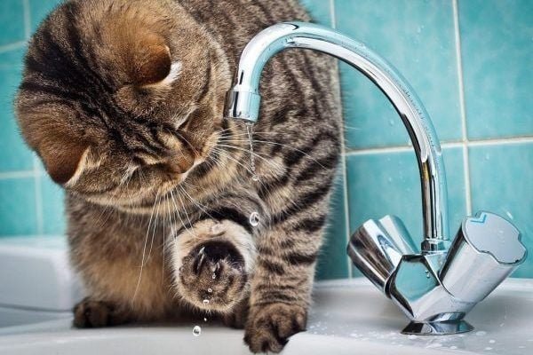 Нічна атака на Київ: гаряча вода відсутня в семи районах