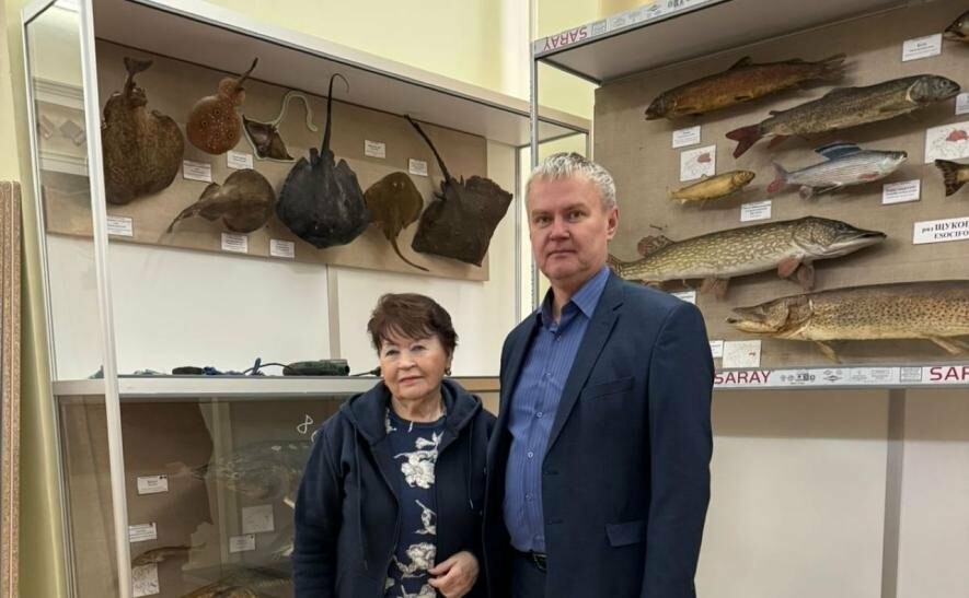 Зоологічний музей Києва повертається: відновлення після руйнувань триває