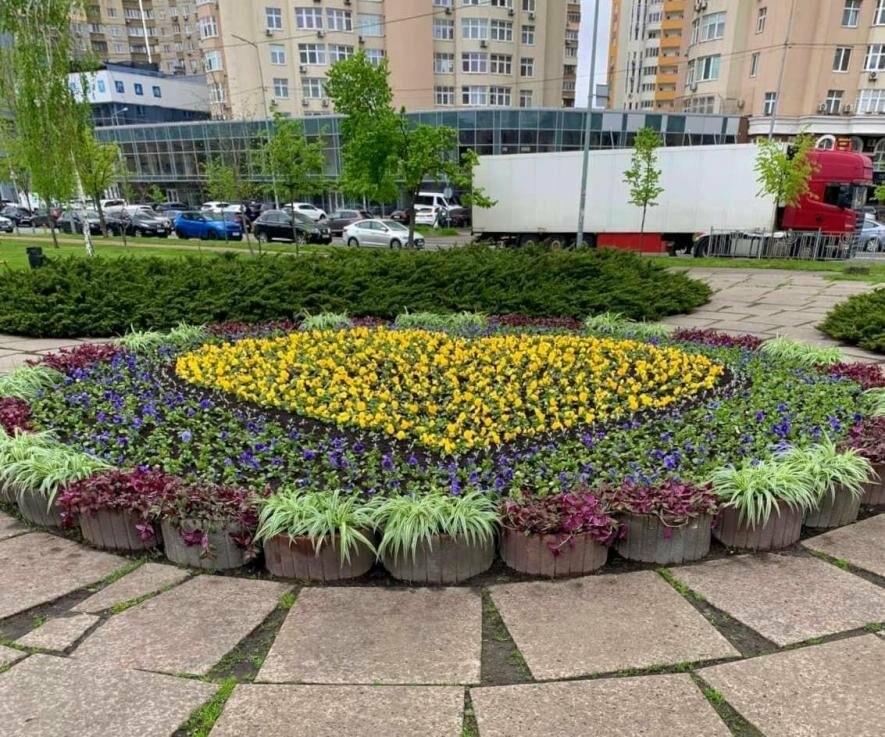На Дарниці у Києві висадили тисячі жовтих та блакитних квітів, що формують серце, – ФОТО На Дарниці у Києві висадили тисячі жовтих та блакитних квітів, що формують серце, – ФОТО