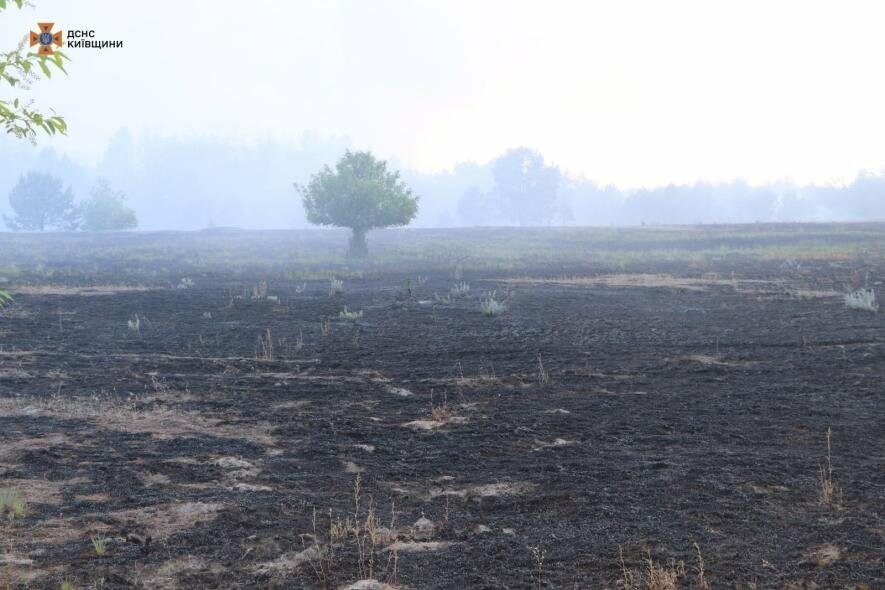 Пожежа у Нових Петрівцях: горіла лісова підстилка на 35 гектарах, – ФОТО