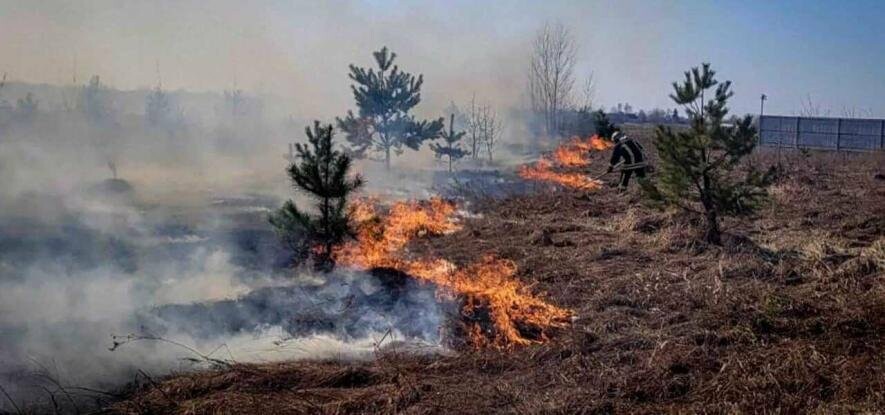 Діти у полоні вогню: під Києвом через випалювання сухостою сталася пожежа, – ФОТО Діти у полоні вогню: під Києвом через випалювання сухостою сталася пожежа, – ФОТО