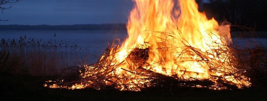 На Київ насувається пекельна спека: заборонено відвідувати ліси На Київ насувається пекельна спека: заборонено відвідувати ліси