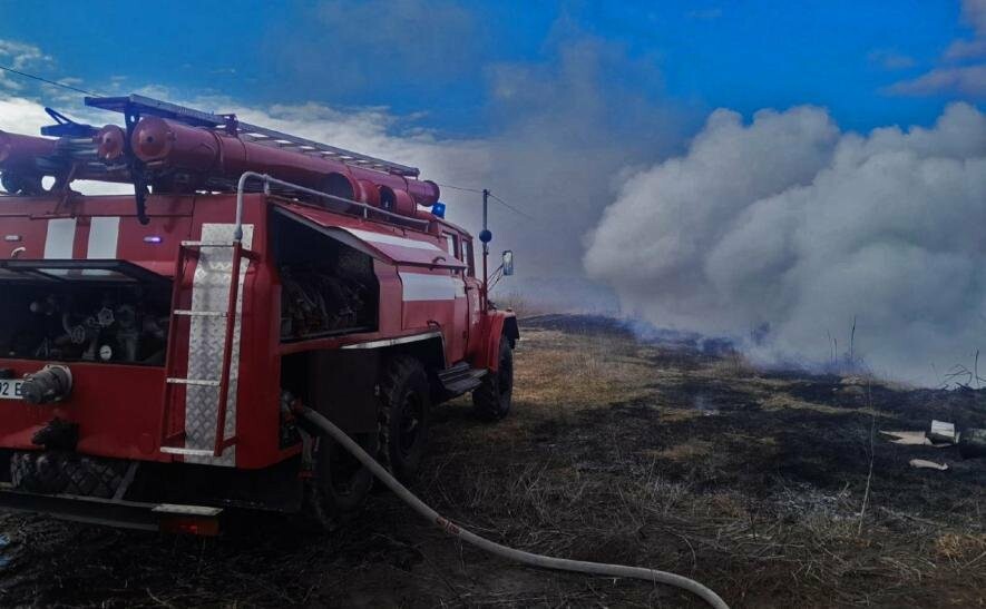 У Києві спалахнула пожежа біля озера Вирлиця, – ФОТО