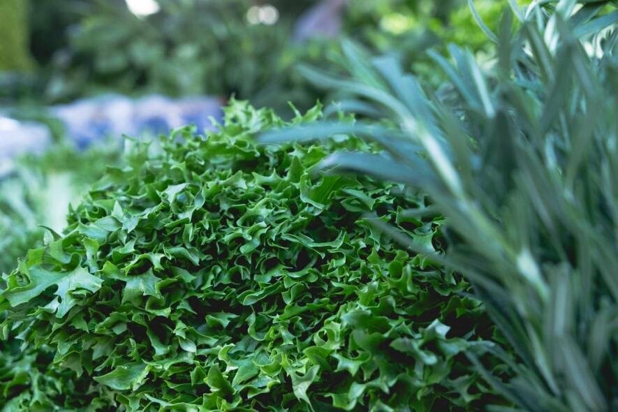 Смачний шопінг в Києві: де знайти найкращі продукти на ярмарках з 8 по 13 квітня Смачний шопінг в Києві: де знайти найкращі продукти на ярмарках з 8 по 13 квітня