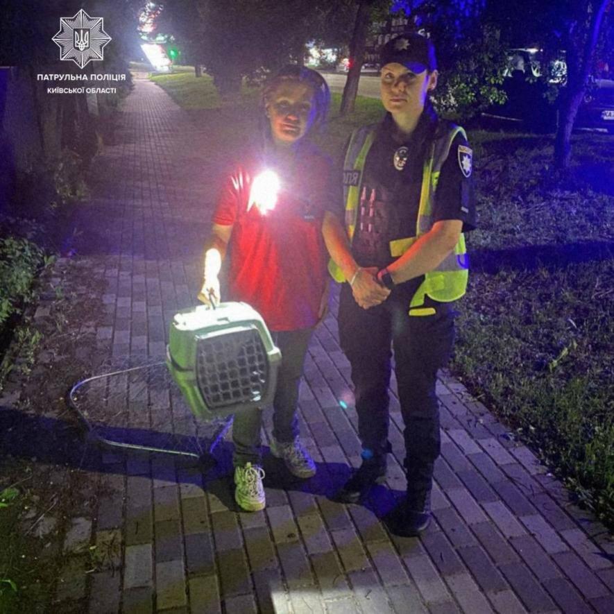 Завдяки дзвінку — життя: на Київщині патрульні врятували пораненого кота Завдяки дзвінку — життя: на Київщині патрульні врятували пораненого кота