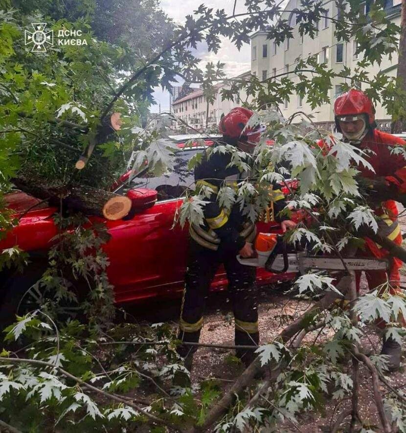 Надзвичайники “звільнили” дві автівки, на які впали дерева під час негоди, – ФОТО
