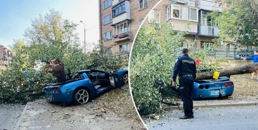 У Києві в ДТП потрапив спорткар Chevrolet Corvette: авто влетіло в дерево та повалило його, – ФОТО, ВІДЕО