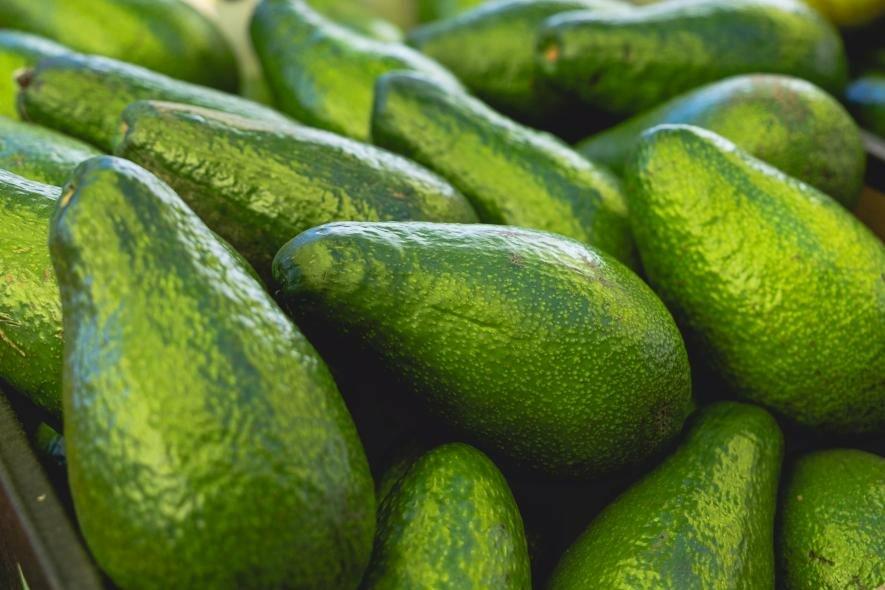 Київ готується до ярмаркового тижня: коли і де купувати продукти, – адреси