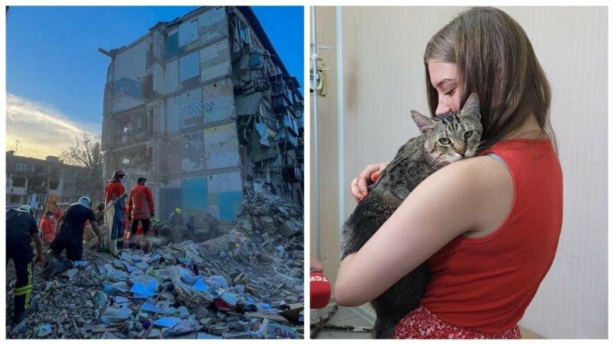 Півтори доби був під завалами: у Києві повернули в сім’ю кота, якого врятували з будинку на Сирці, – ФОТО Півтори доби був під завалами: у Києві повернули в сім’ю кота, якого врятували з будинку на Сирці, – ФОТО