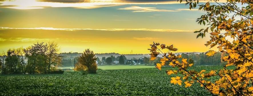 До +26° вдень, на заході дощитиме: прогноз погоди в Україні на 3 жовтня