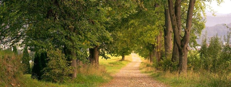 Завтра трохи потеплішає, дощів не буде: прогноз погоди в Україні на 2 жовтня