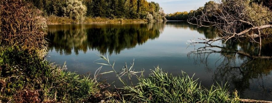 Прокуратура вмимагає повернути державі землі біля Десни на Київщині: деталі справи Прокуратура вмимагає повернути державі землі біля Десни на Київщині: деталі справи