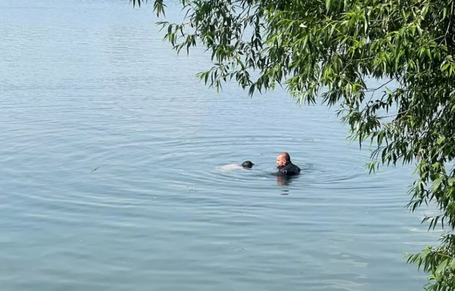 Смерть на поверхні водойми: жителі Києва побачили моторошне видовище, – ФОТО Смерть на поверхні водойми: жителі Києва побачили моторошне видовище, – ФОТО