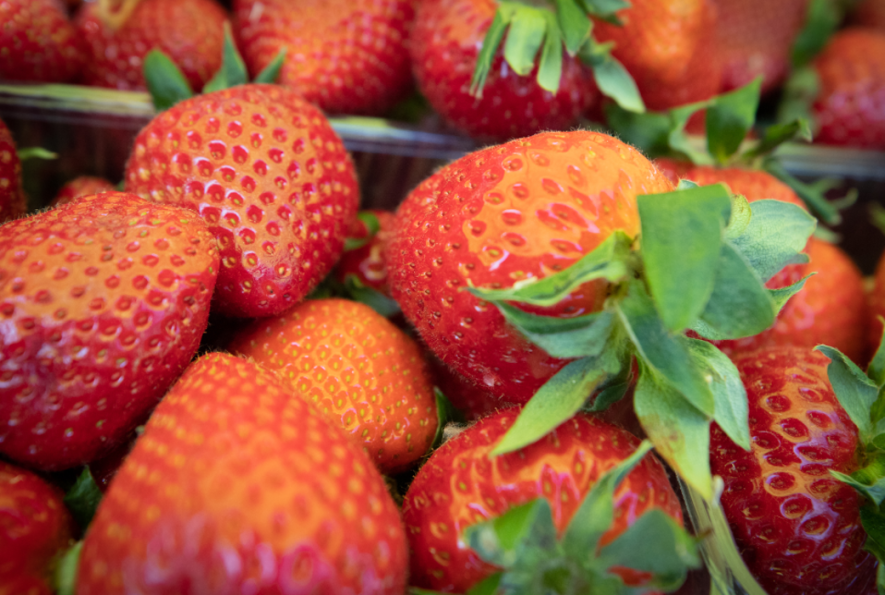 Смак літа в Києві: в яких локаціях відбудеться великий продуктовий розпродаж Смак літа в Києві: в яких локаціях відбудеться великий продуктовий розпродаж