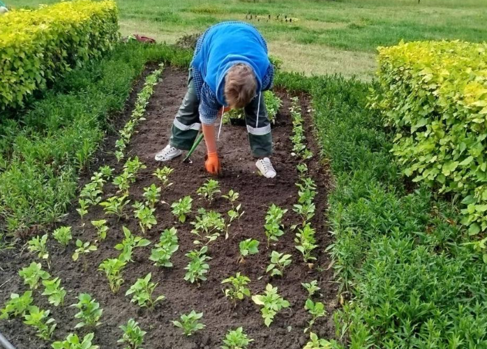 Зелений оазис у спекотному Києві: як озеленювачі доглядають за деревами та клумбами, – ФОТО Зелений оазис у спекотному Києві: як озеленювачі доглядають за деревами та клумбами, – ФОТО